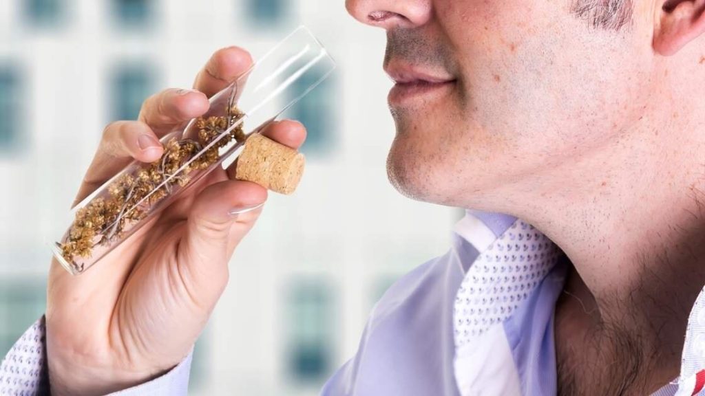 Smell Recovery for Covid Long Haulers & Brain Injuries - Sniffly